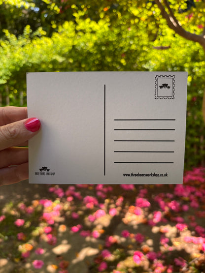 Avocado Postcard